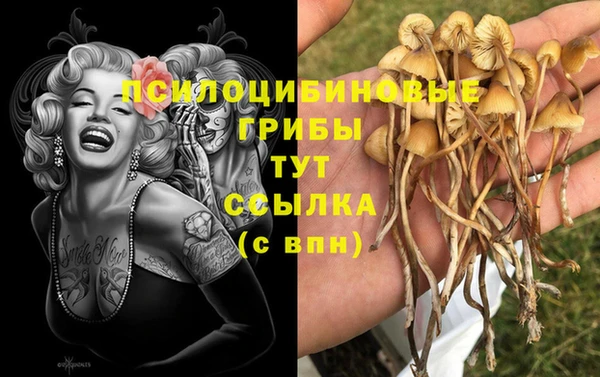 PSILOCYBIN Белокуриха