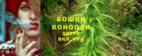 PSILOCYBIN Белокуриха