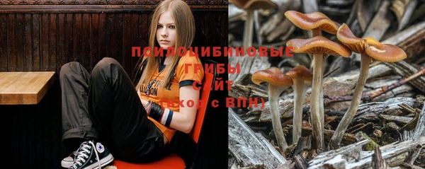экстази Майский