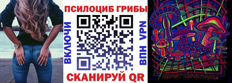 Псилоцибиновые грибы Magic Shrooms  где купить наркотик  Улан-Удэ 