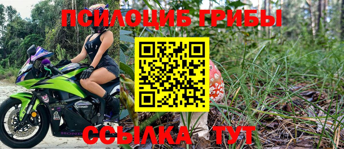 Псилоцибиновые грибы GOLDEN TEACHER  Улан-Удэ 